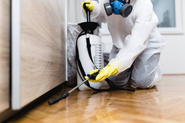 Best Best Pest Control Companies  in Lockhart, TX