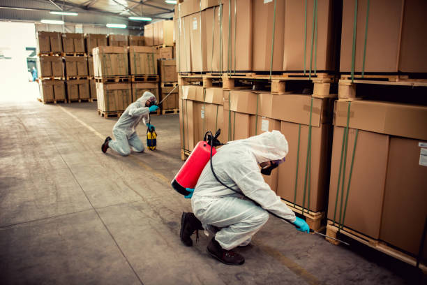 Trusted Lockhart, TX Pest Control Experts