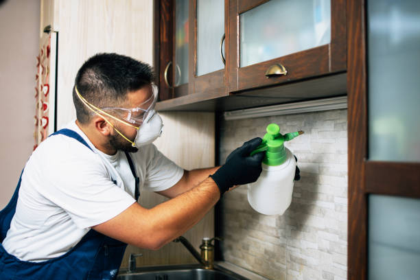Best Affordable Pest Control Services  in Lockhart, TX