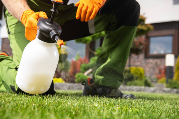 Best Wasp Removal Services  in Lockhart, TX